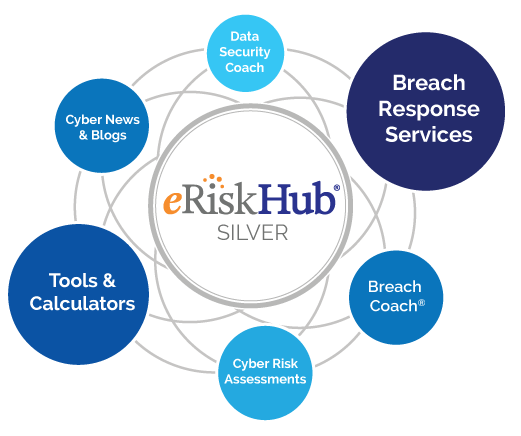 eRiskHub Silver Diagram